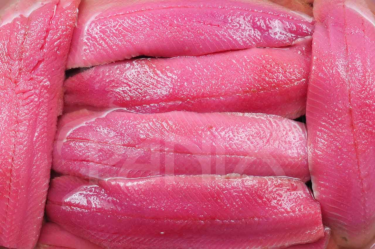 FISH PROCESSING PLANT